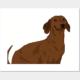 Red Dachshund Posters and Art